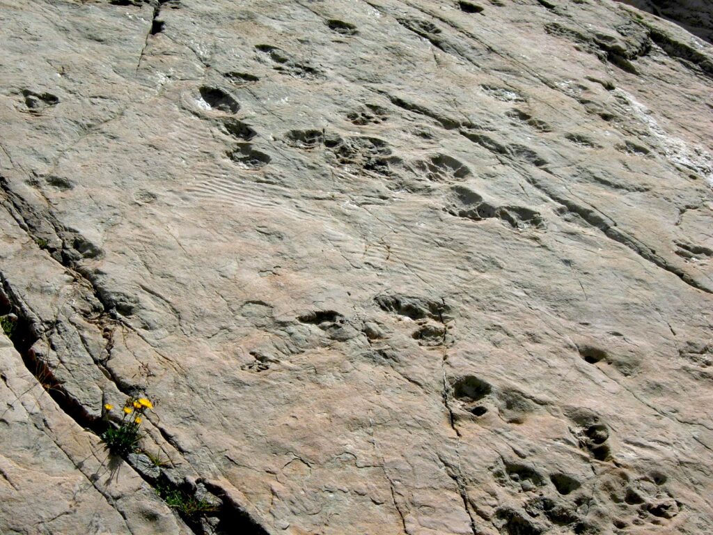 Impronte di dinosauri nella conca du Vieux Emosson.