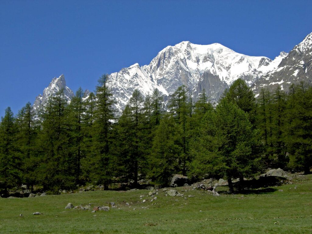 Le vaste praterie della Val Ferret tra Planpincieux e Lavachey.