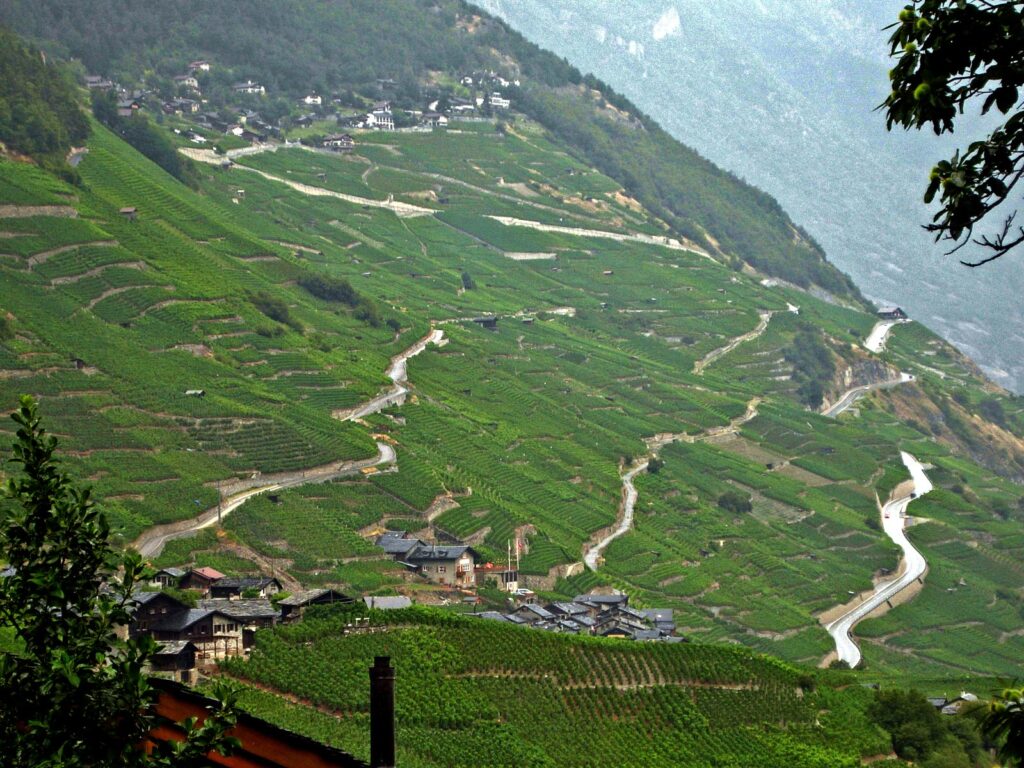 Vigneti sopra Martigny, in Svizzera Francese.